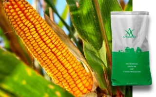 Seed packaging for corn against a corn cob background - CASCADE 166 ASV
