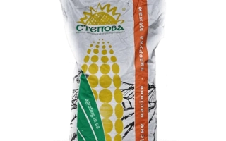 Кишкун СЦ 4337 (Изабелла)