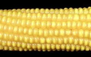 Кремень 200 МВ