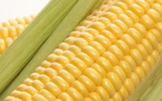 Криничанський 257 СВ