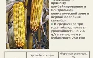 КУБАНСЬКИЙ 280 СВ