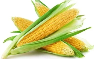 Кукурус