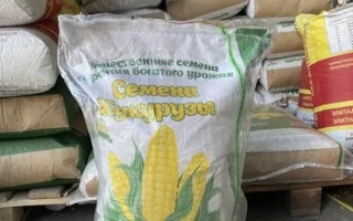 Мішок насіння кукурудзи КВ 1472