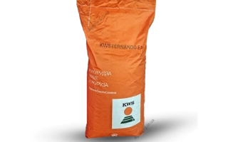 КВС Фернандо