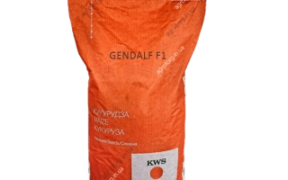 КВС Гендальф