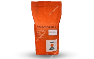 КВС Кавалер