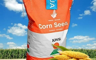 КВС Нирвано