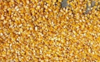 ЛАДОЖСКИЙ 201 МВ