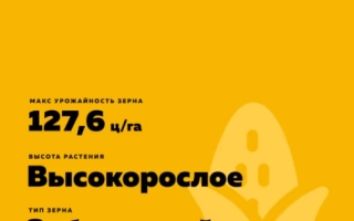 ЛАДОЖСКИЙ 270 АМВ