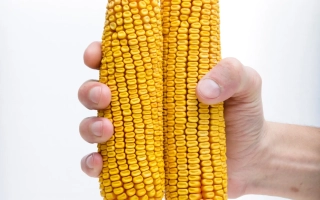 ЛАДОЖСКИЙ 410 МВ