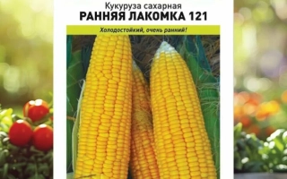 Лагуна 216