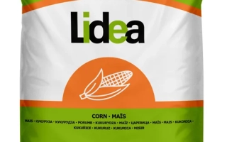 Мешок семян кукурузы Lidea - ЛИД2210Ц