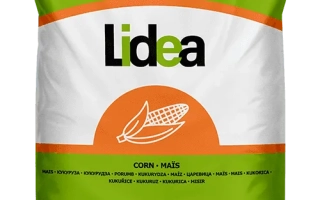 Мешок семян кукурузы Lidea - ЛИД3130Ц