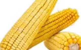 Меридиан 341 МВ