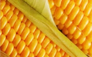 НК Каламбия