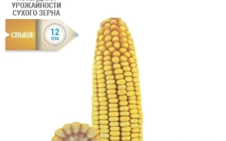 НС 10 Х 202 НСД