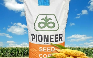 Мешок семян кукурузы Pioneer на фоне поля - П9889