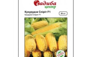 Пакет семян кукурузы Сирейт F1 с изображением початков - ПН 3025