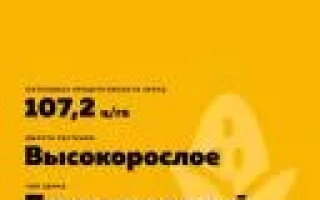 Seed bag of corn RZT Galifaks - POVOLZHIY 107 SV