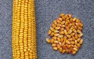 ПОВОЛЖСКИЙ 23 СВ