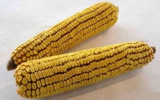 ПОВОЛЖСКИЙ 89 МВ