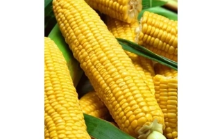 ПРОХЛАДНЕНСКИЙ 175 СВ