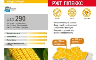 РЖТ Ланкксам