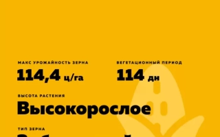 РЖТ Суфиккс