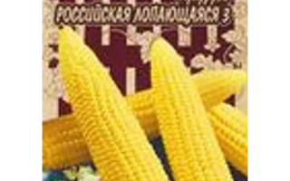 РОССИЙСКАЯ 1