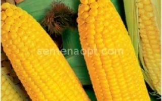 Руно198 СВ / Руно 198 СВ