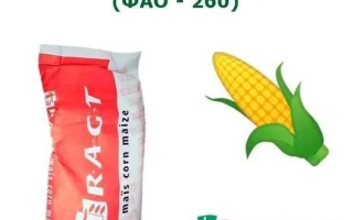 РЖТ Акстрид