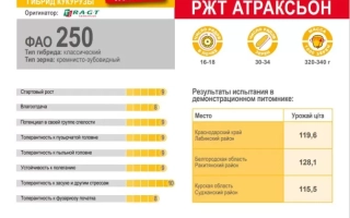 РЖТ Аттраксьон
