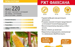 РЖТ Факсана