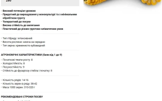 РЖТ Ферокси