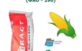 РЖТ Колектикс