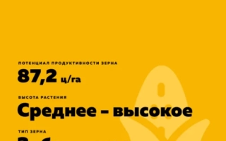 РЖТ Лекстур