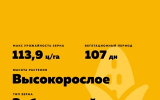 РЖТ Претекст