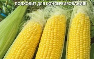 С 64423-3 Х С 74002