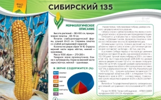 СИБИРСКИЙ 135