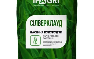 Силверклауд