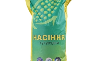 Славутич 271 МВ