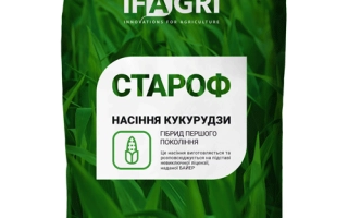 Староф