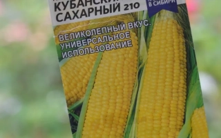 СИ Альдариа