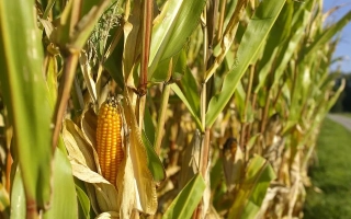 СИ Енермакс