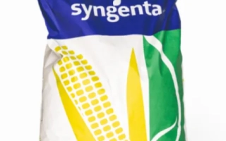 СИ Пандорас