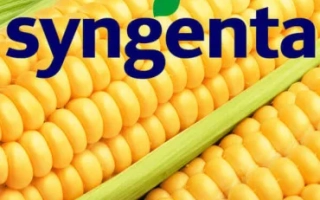 СИ Скорпиус