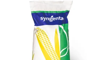 Си Талисман