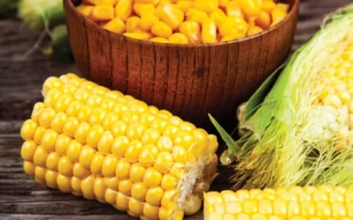 Сегеди ТС 367