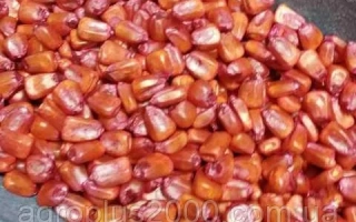 Теофанив 295 СВ