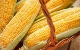 Товтрянський 188 СВ